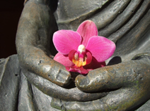 Buddha with flower